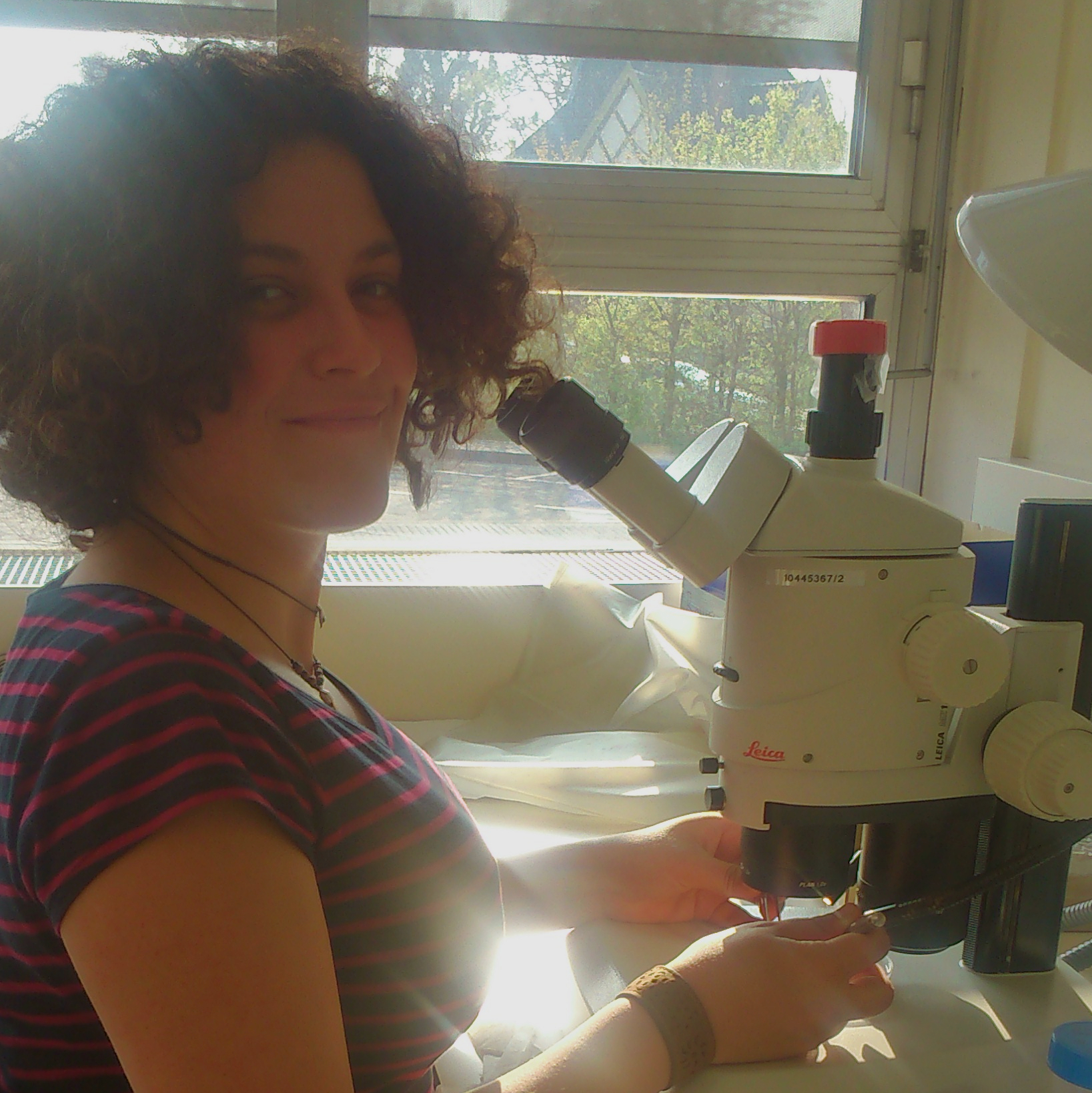 User profile picture