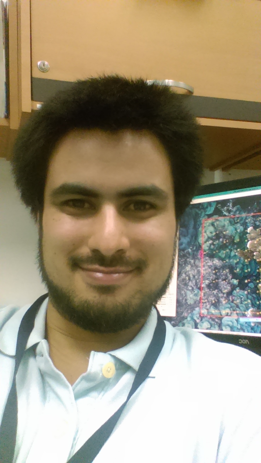 User profile picture